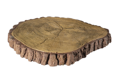 pien-50-1459577176
