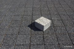 IMG_7290