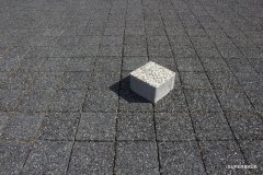 IMG_7291