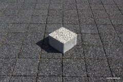 IMG_7293
