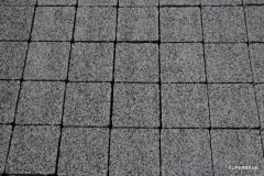 domino-argento