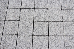 domino-perla