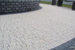 1_DSC01572